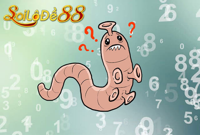 Con đỉa số mấy?