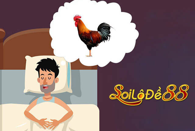 Con gà số mấy?